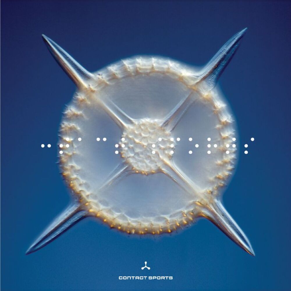 Contact Sports - Contact Sports  CD